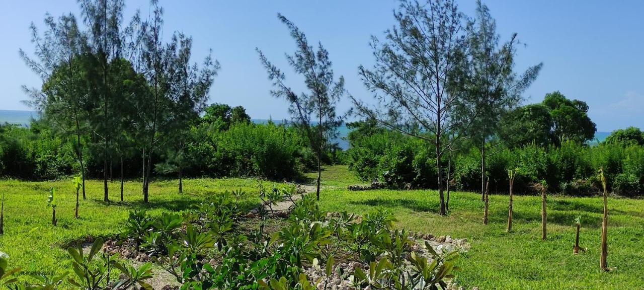 Amani Villas Nature Retreat Michamvi Eksteriør bilde